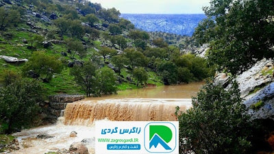 اقامتگاه بوم گردی، اقامتگاه و خونه روستایی، ویلا