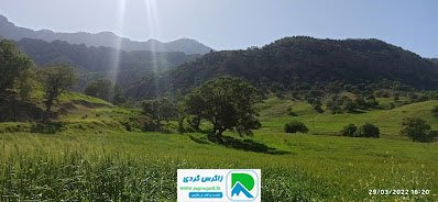 اقامتگاه بوم گردی، اقامتگاه و خونه روستایی، ویلا