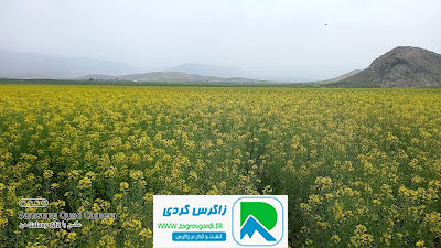 اقامتگاه بوم گردی، اقامتگاه و خونه روستایی، ویلا