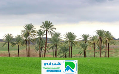 اقامتگاه بوم گردی، اقامتگاه و خونه روستایی، ویلا