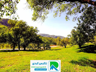 اقامتگاه بوم گردی، اقامتگاه و خونه روستایی، ویلا