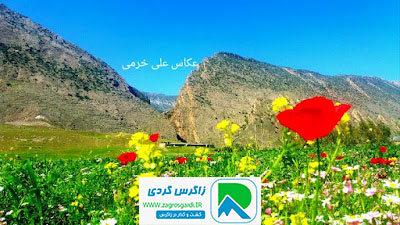 اقامتگاه بوم گردی، اقامتگاه و خونه روستایی، ویلا