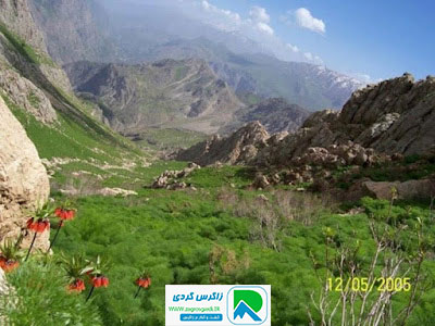 اقامتگاه بوم گردی، اقامتگاه و خونه روستایی، ویلا