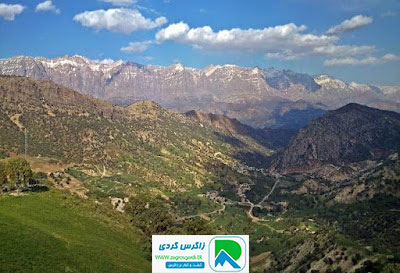 اقامتگاه بوم گردی، اقامتگاه و خونه روستایی، ویلا
