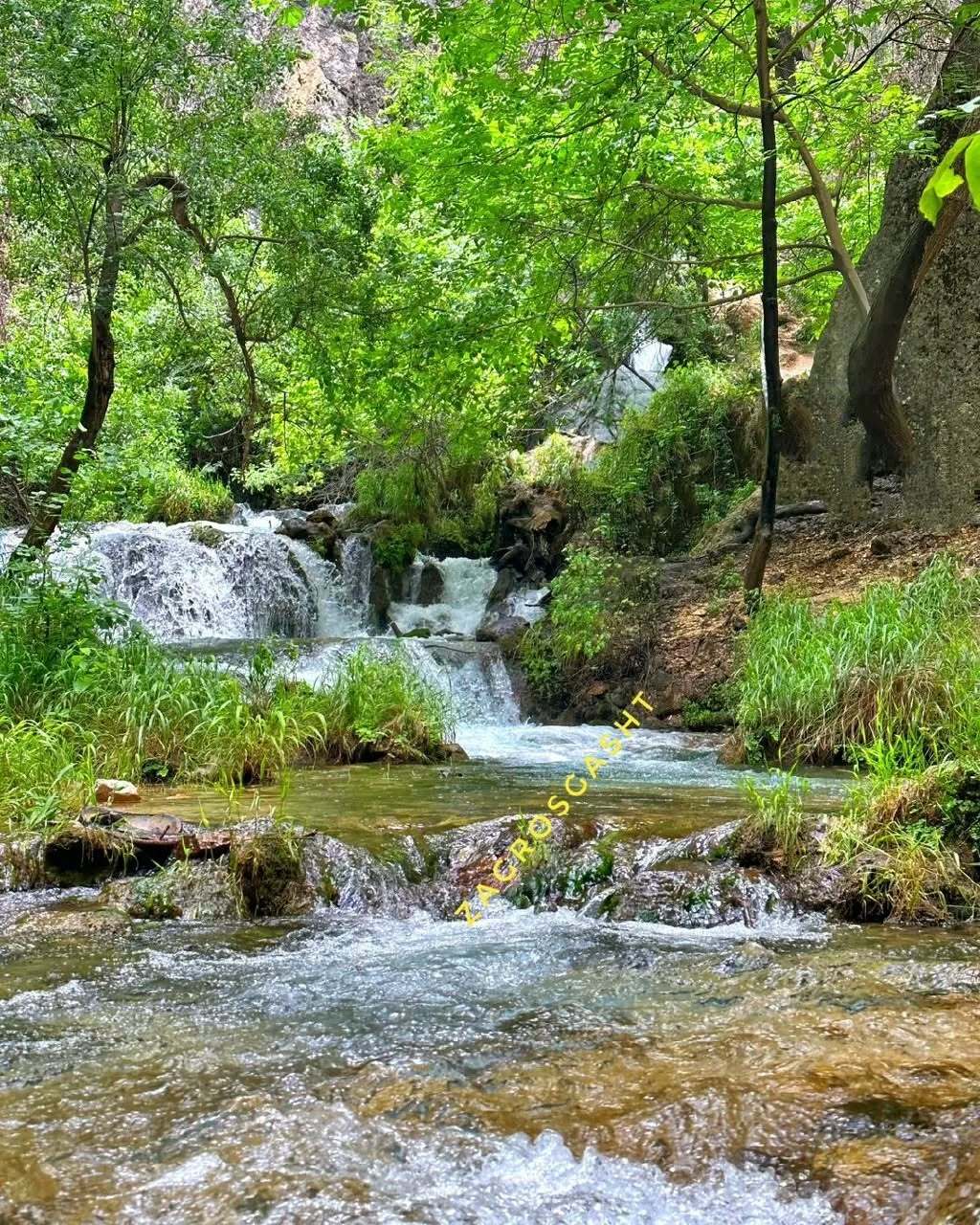 اقامتگاه بوم گردی، اقامتگاه و خونه روستایی، ویلا