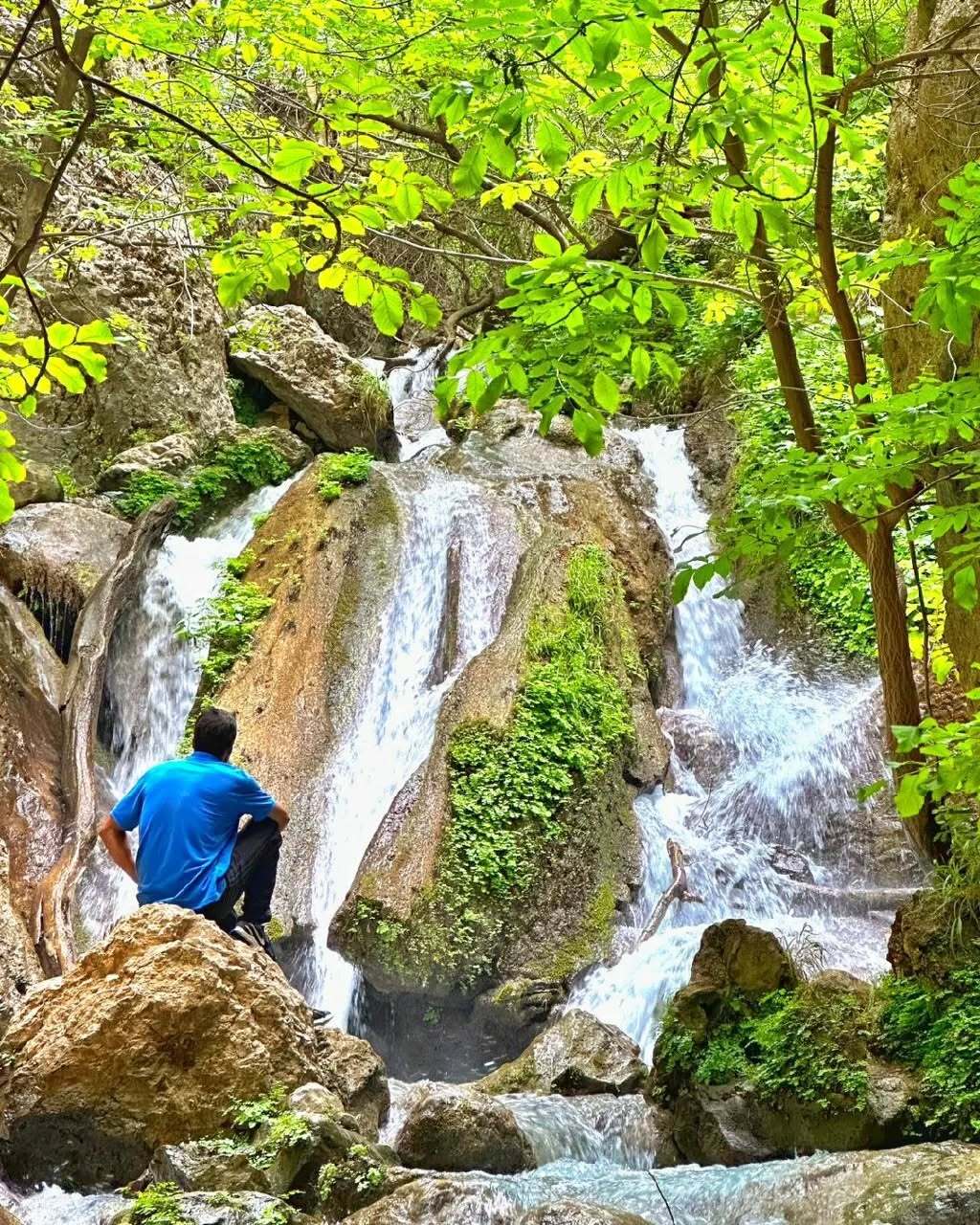 اقامتگاه بوم گردی، اقامتگاه و خونه روستایی، ویلا