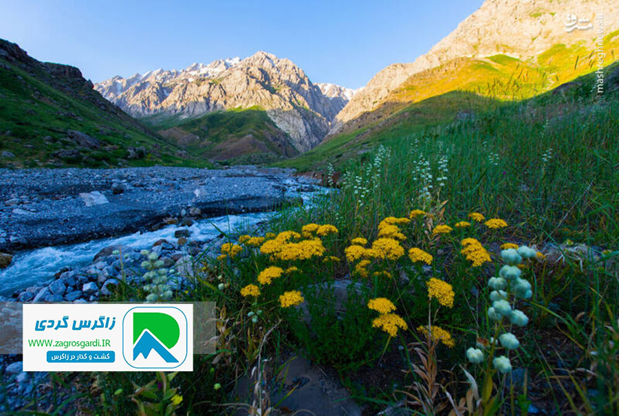 اقامتگاه بوم گردی، اقامتگاه و خونه روستایی، ویلا