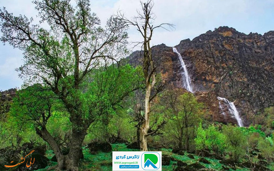 اقامتگاه بوم گردی، اقامتگاه و خونه روستایی، ویلا