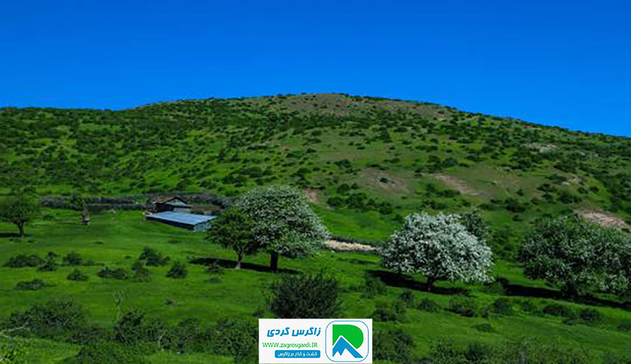 خونه روستایی بروجرد (تپه چغا)