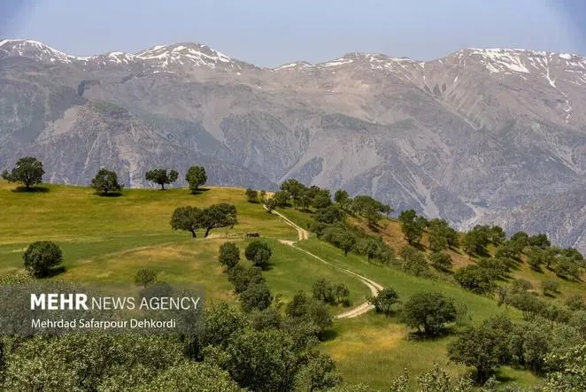 اقامتگاه بوم گردی، اقامتگاه و خونه روستایی، ویلا