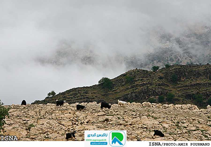 اقامتگاه بوم گردی، اقامتگاه و خونه روستایی، ویلا