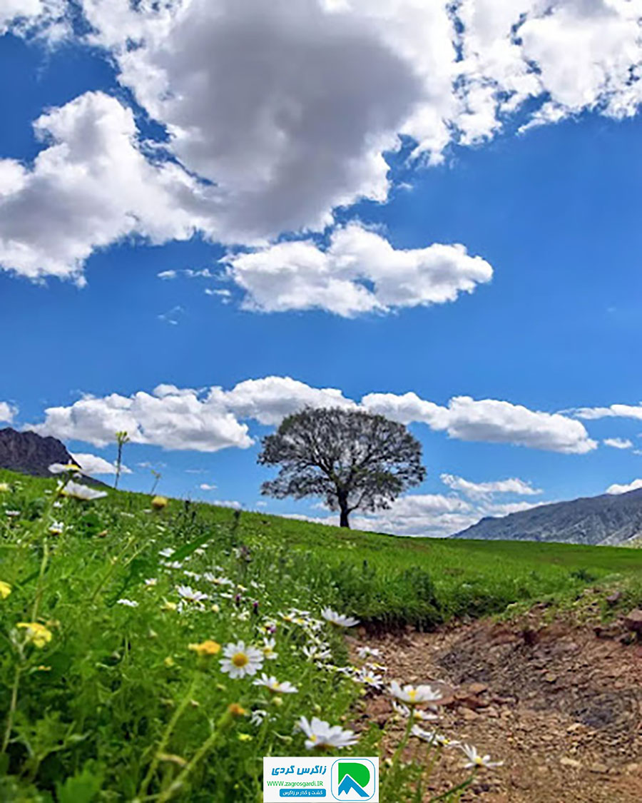 اقامتگاه بوم گردی، اقامتگاه و خونه روستایی، ویلا