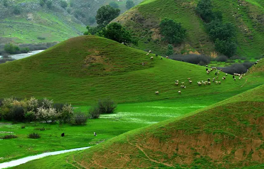 اقامتگاه بوم گردی، اقامتگاه و خونه روستایی، ویلا