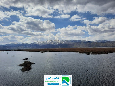 اقامتگاه بوم گردی، اقامتگاه و خونه روستایی، ویلا