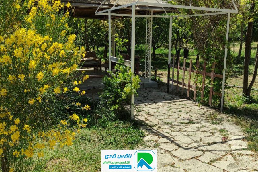 اجاره روزانه ویلا۱۲۰ متر باغ ۵۰۰۰متری کنار شورابیل