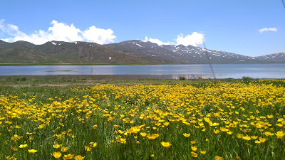 اقامتگاه بوم گردی، اقامتگاه و خونه روستایی، ویلا