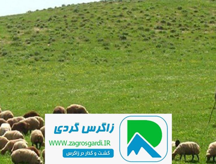 اجاره ویلا چغاخور