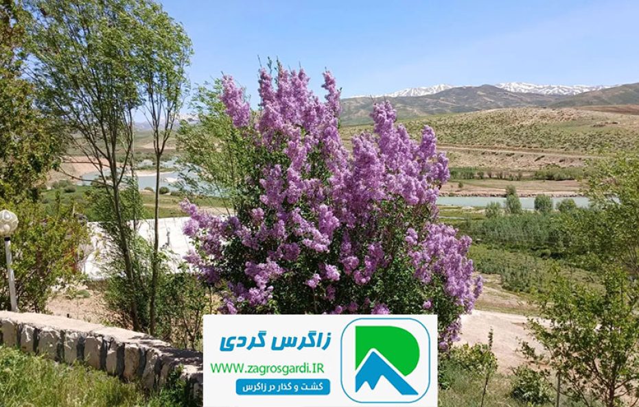 اجاره ویلای سنتی تک‌خوابه در کوهرنگ | نزدیک چشمه دیمه و رودخانه (238)