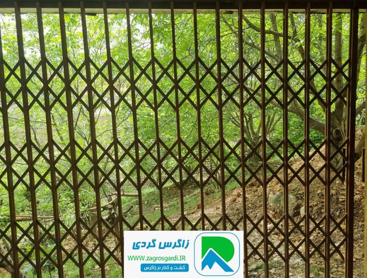 اجاره سوئیت ویلا در روستای مورز | اقامتگاه دنج با ظرفیت بالا و قیمت عالی(244)